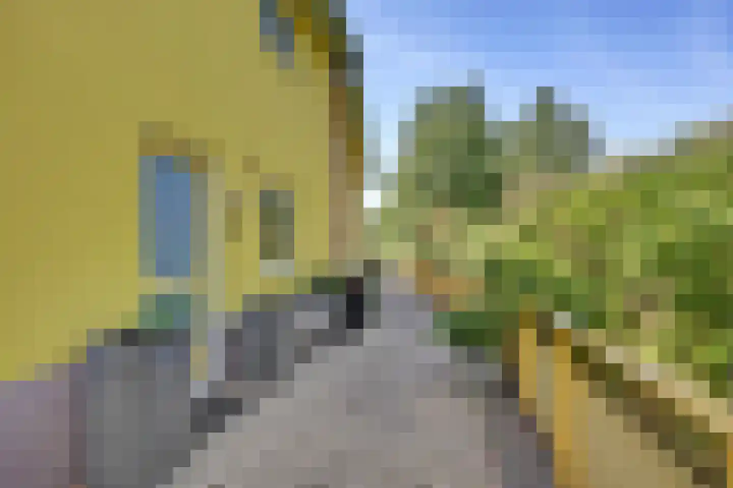 Jan Dirk z'n Dal 95 Egmond aan Zee thumbnail 6