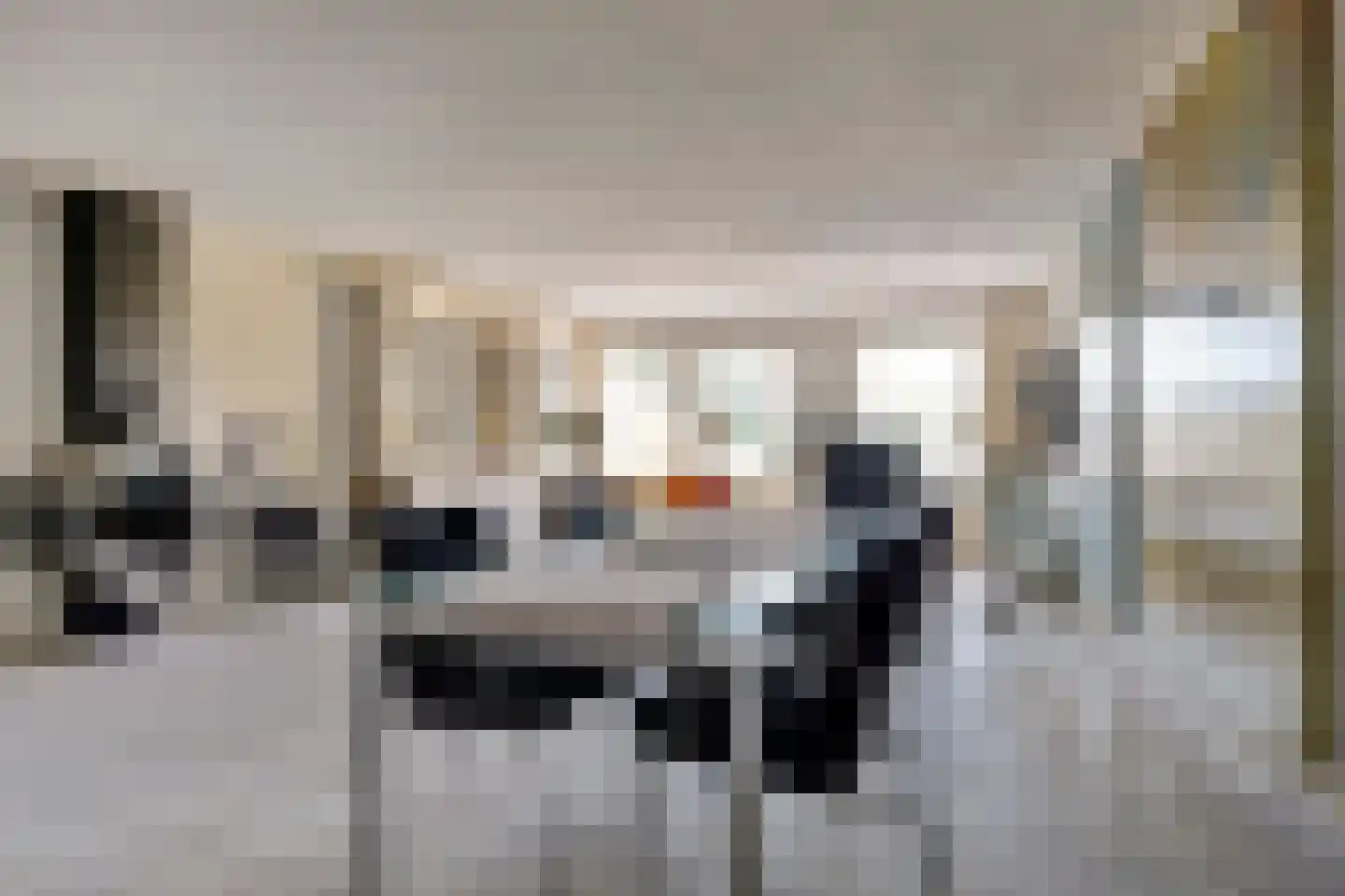 Jan Dirk z'n Dal 95 Egmond aan Zee thumbnail 8