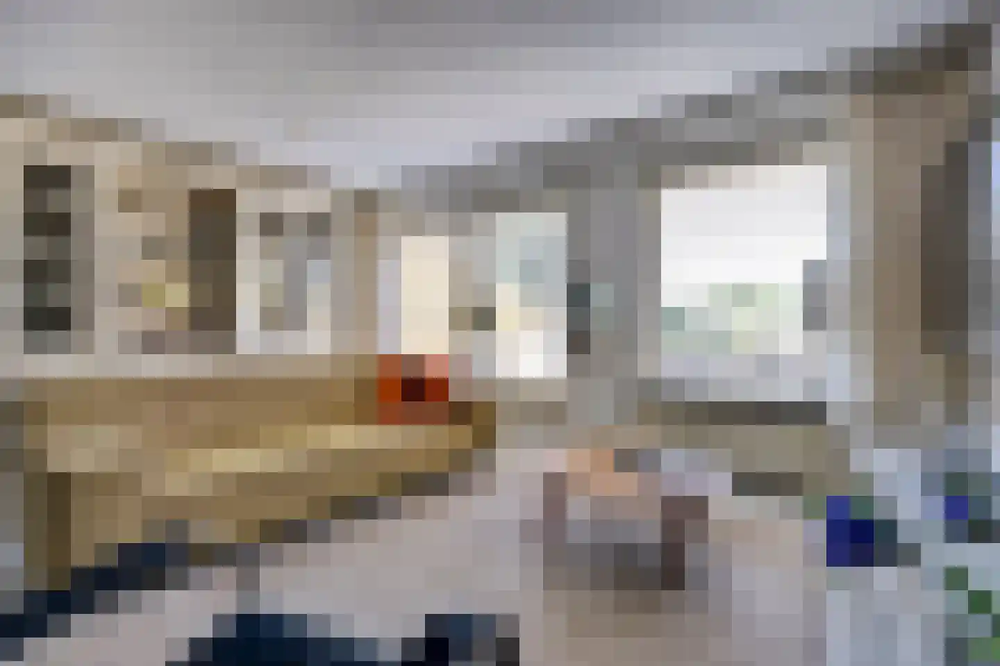 Jan Dirk z'n Dal 95 Egmond aan Zee thumbnail 9