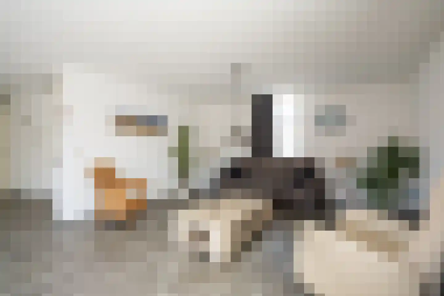 Jan Dirksoord 26 Den Burg thumbnail 13
