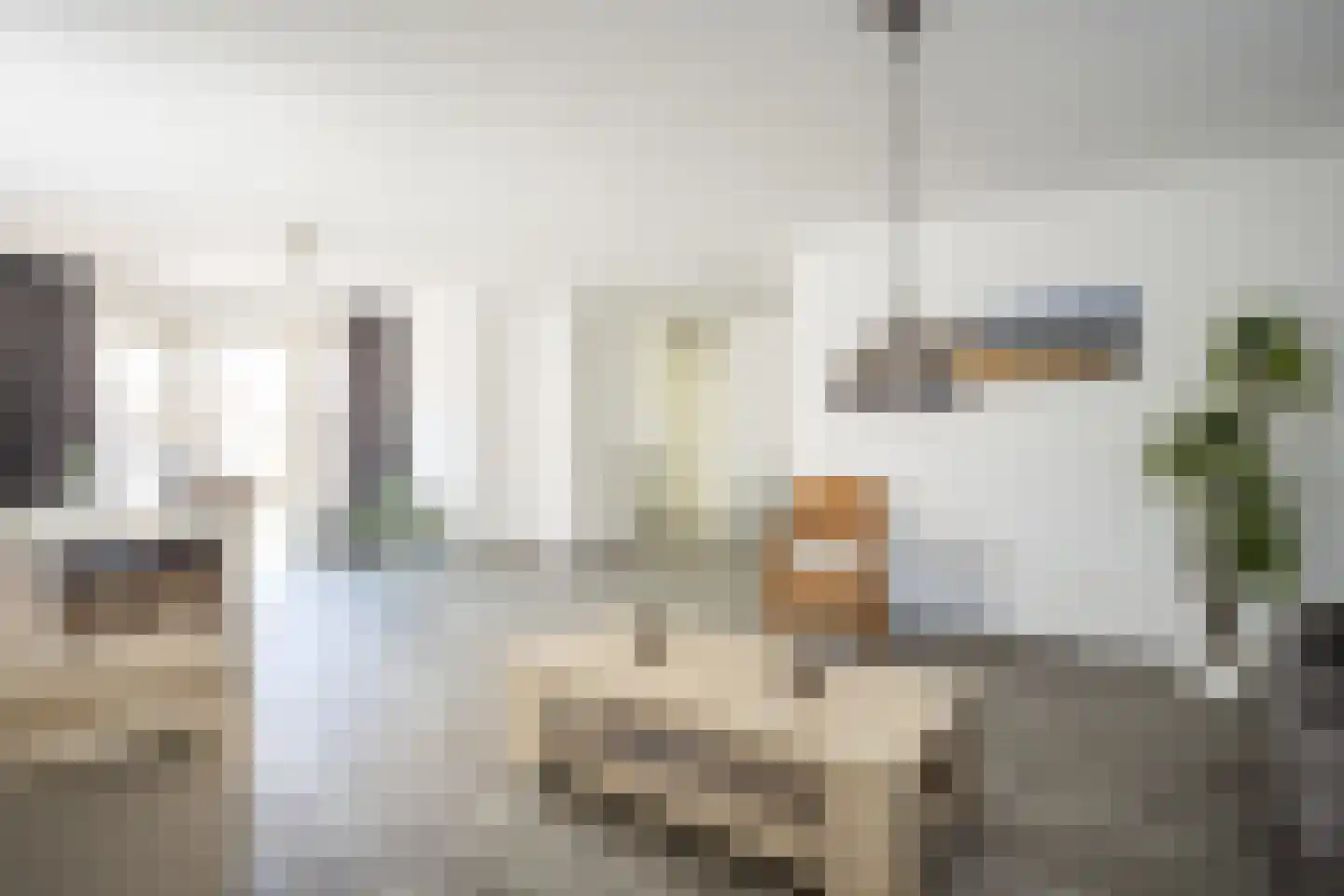 Jan Dirksoord 26 Den Burg thumbnail 15