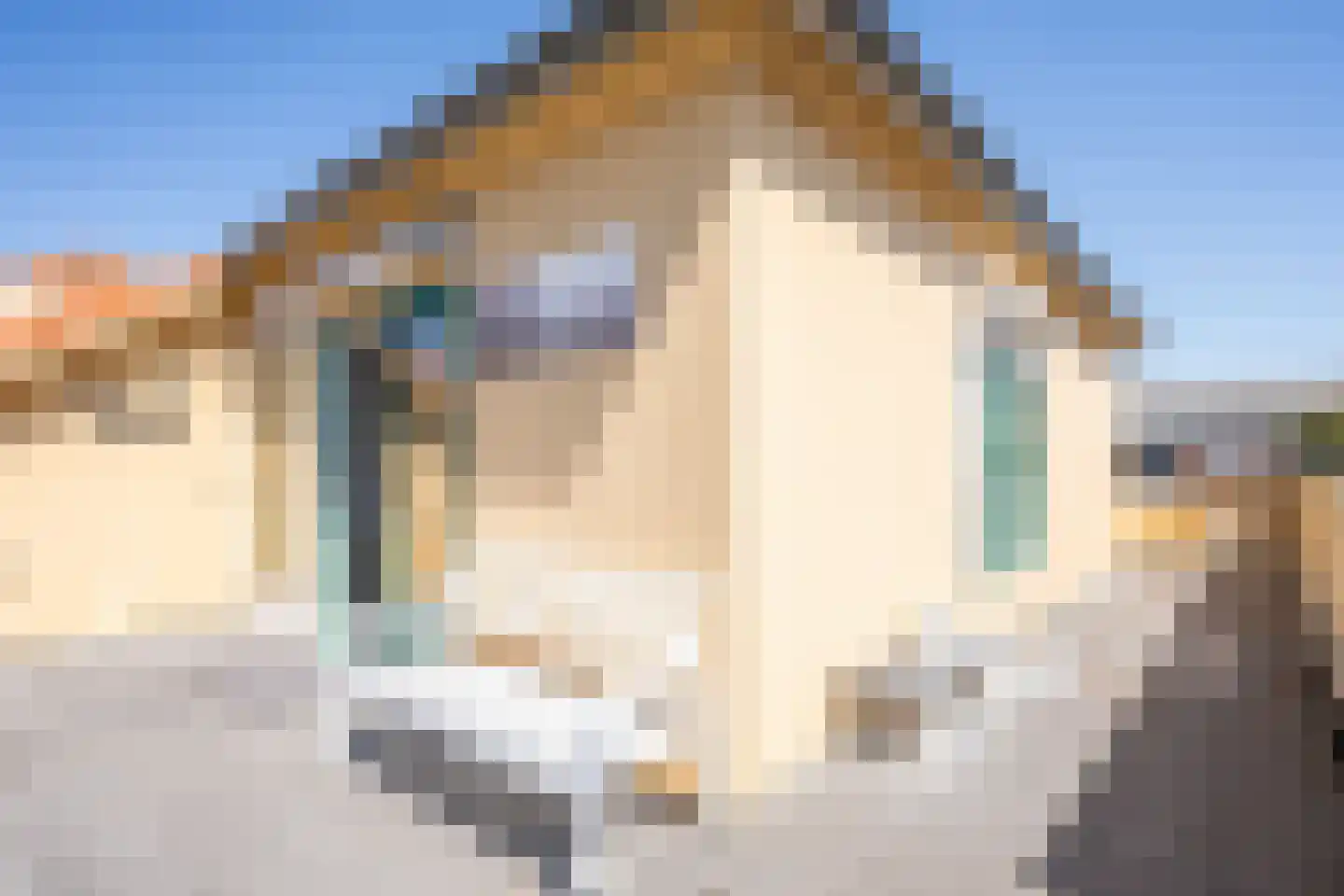 Jan Dirksoord 26 Den Burg thumbnail 24