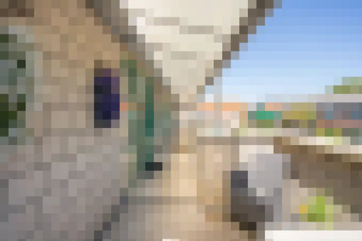 Jan Dirksoord 26 Den Burg thumbnail 69