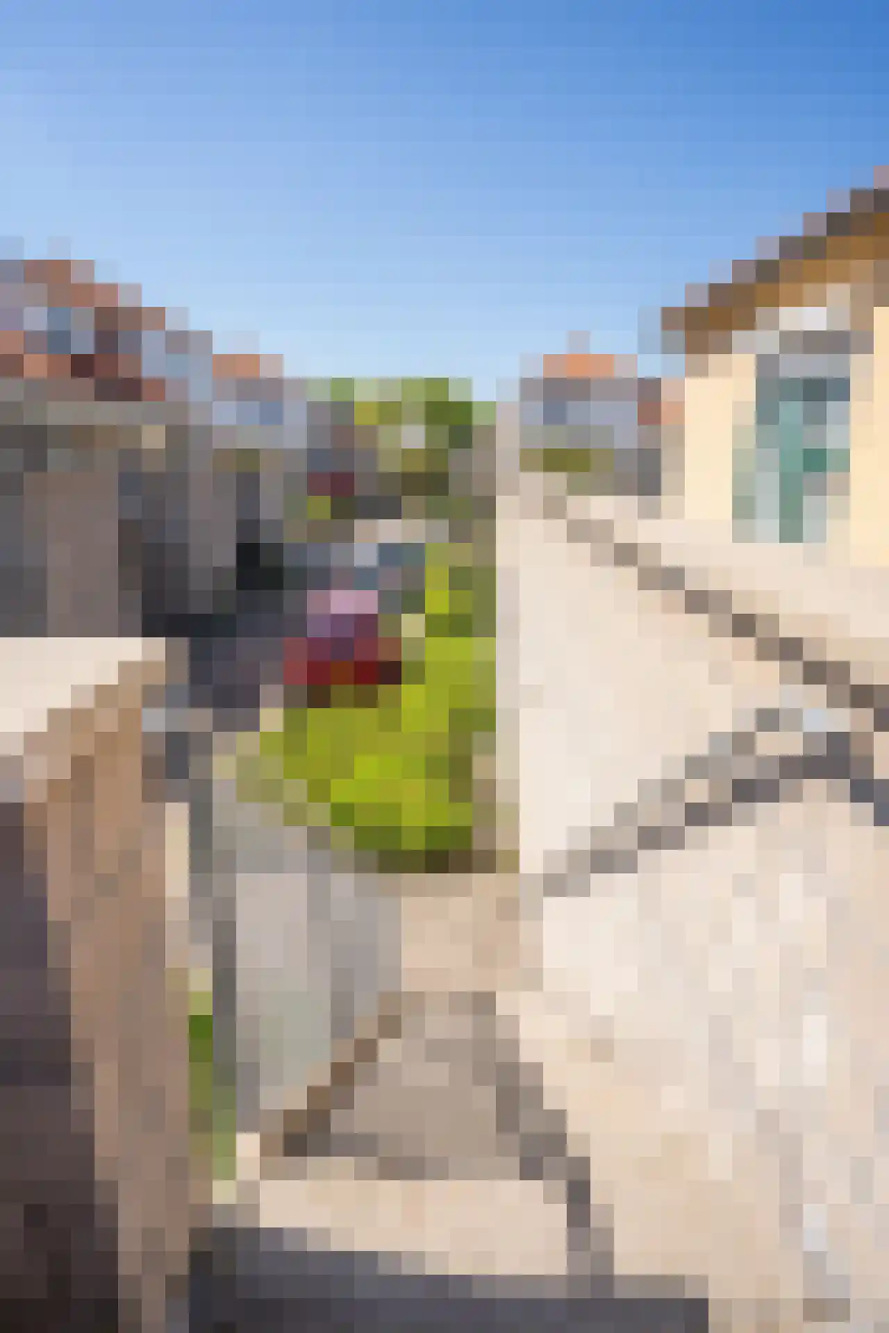 Jan Dirksoord 26 Den Burg thumbnail 79