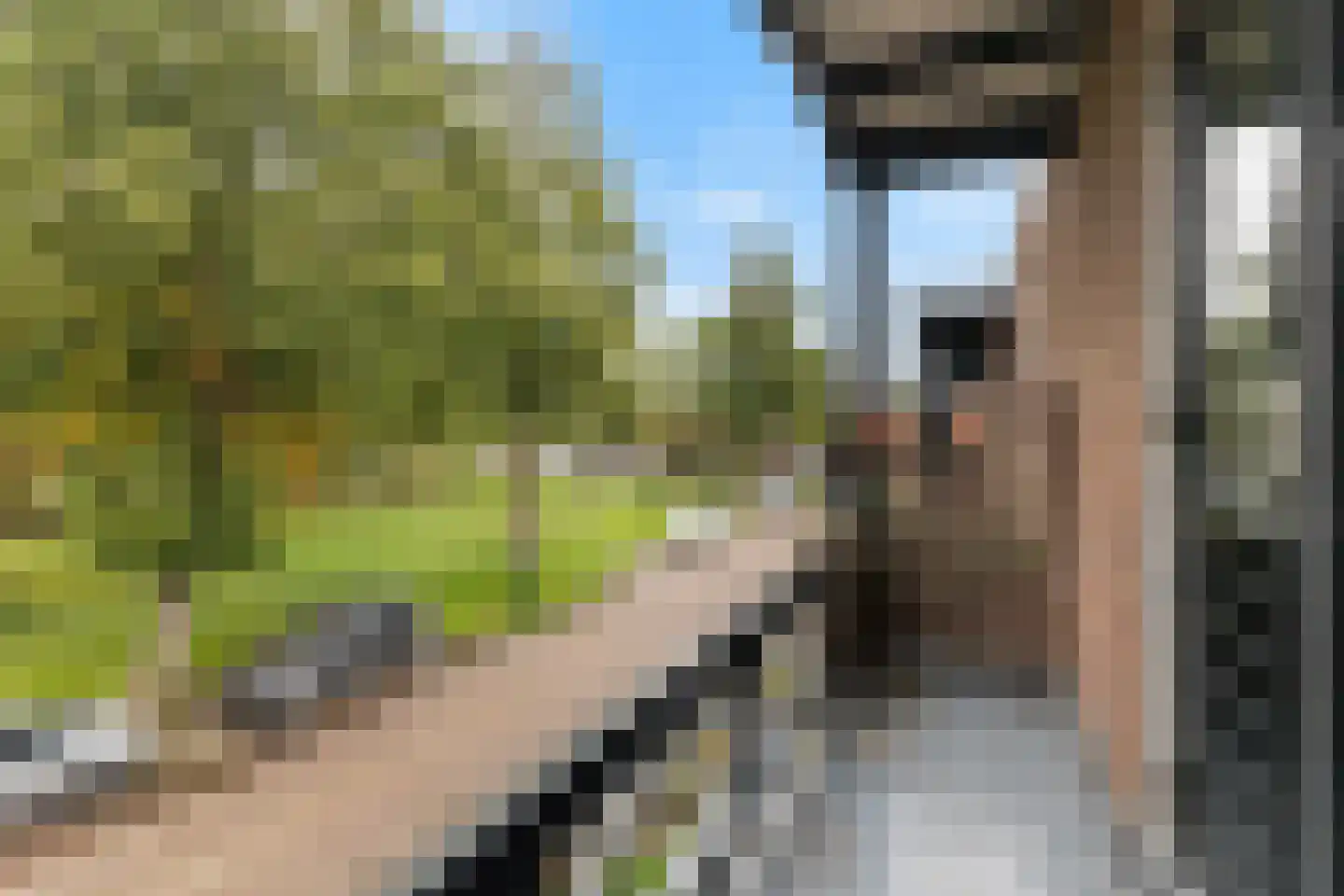 Jan Dirksstraat 7 Franeker thumbnail 34