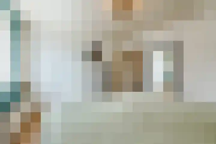 Jan Dobbelsteenstraat 25 Loosbroek thumbnail 26
