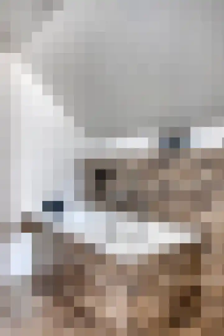 Jan Dobbelsteenstraat 3 Loosbroek thumbnail 30