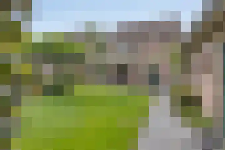 Jan Dobbelsteenstraat 3 Loosbroek thumbnail 36