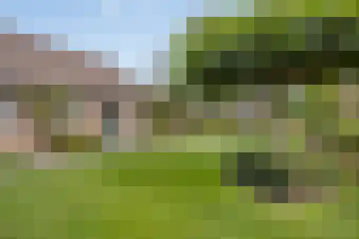 Jan Dobbelsteenstraat 3 Loosbroek thumbnail 38