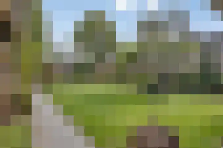 Jan Dobbelsteenstraat 3 Loosbroek thumbnail 39
