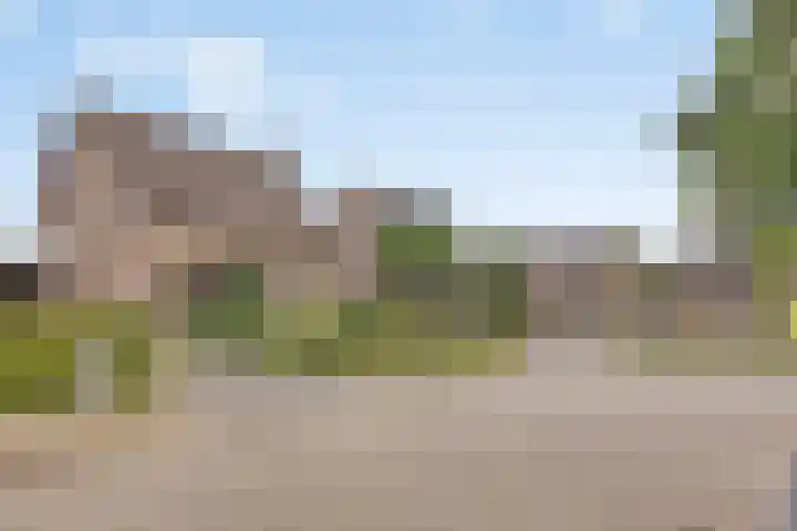 Jan Dobbelsteenstraat 3 Loosbroek thumbnail 45