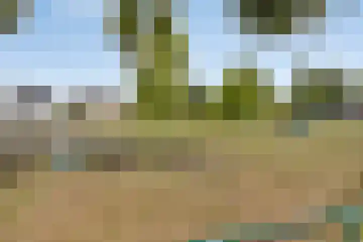 Jan Dobbelsteenstraat 3 Loosbroek thumbnail 47