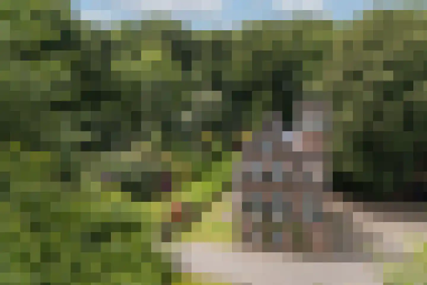 Jan Dommer van Poldersveldtweg 4 Ubbergen thumbnail 4