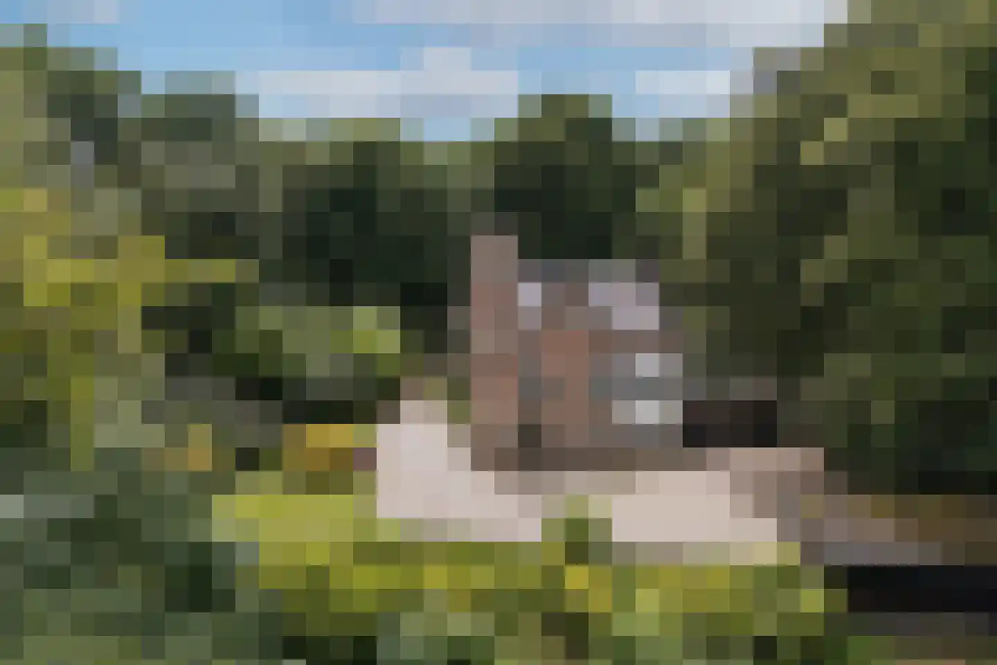 Jan Dommer van Poldersveldtweg 4 Ubbergen thumbnail 44