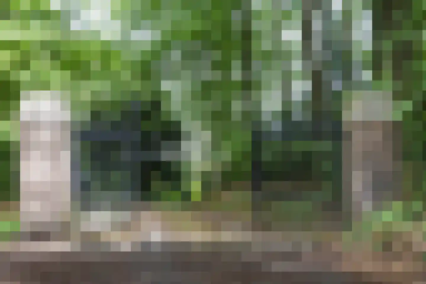 Jan Dommer van Poldersveldtweg 4 Ubbergen thumbnail 5