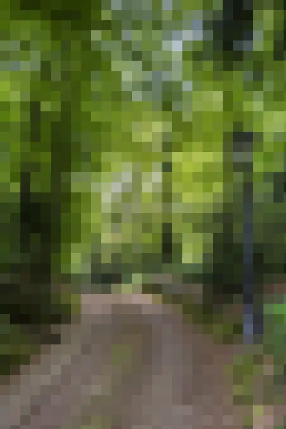 Jan Dommer van Poldersveldtweg 4 Ubbergen thumbnail 6