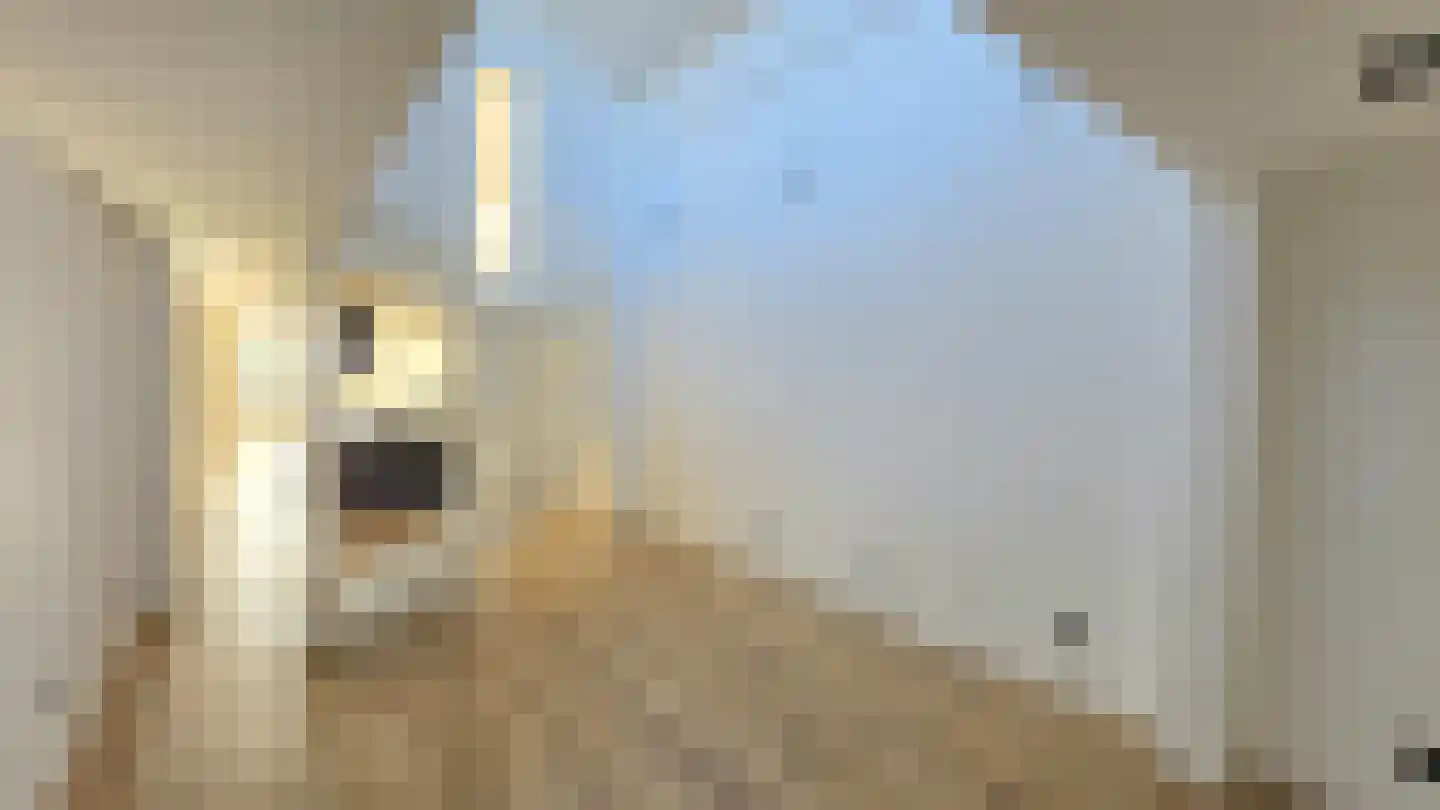 Jan Dommeringpad 7 Arnhem thumbnail 13