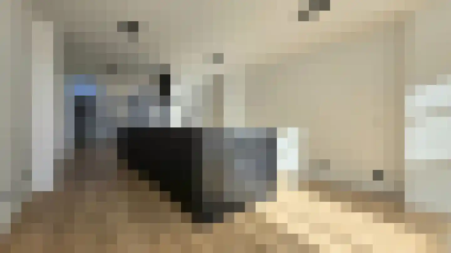 Jan Dommeringpad 7 Arnhem thumbnail 6