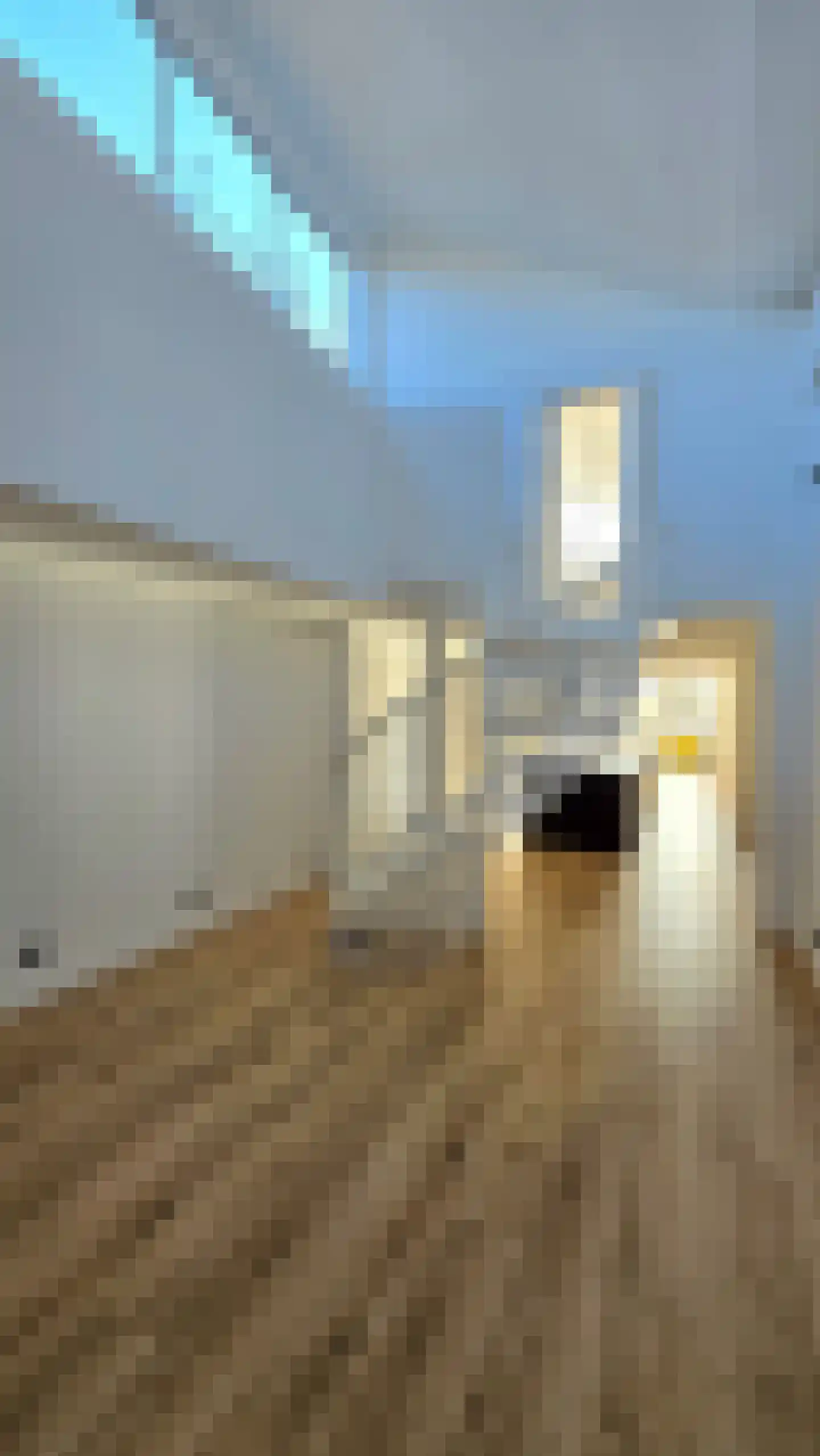 Jan Dommeringpad 7 Arnhem thumbnail 8