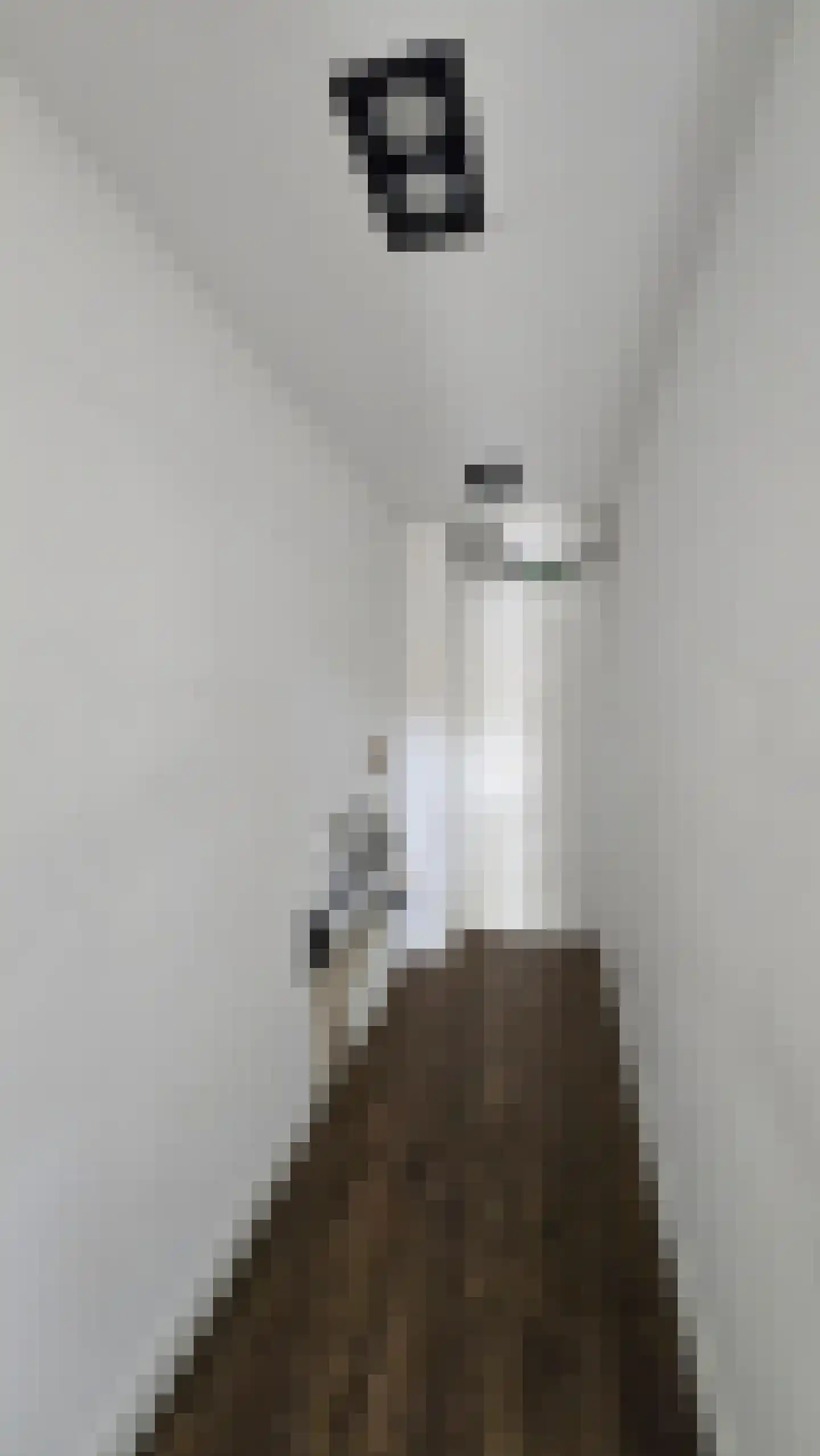 Jan Dommeringpad 7 Arnhem thumbnail 9