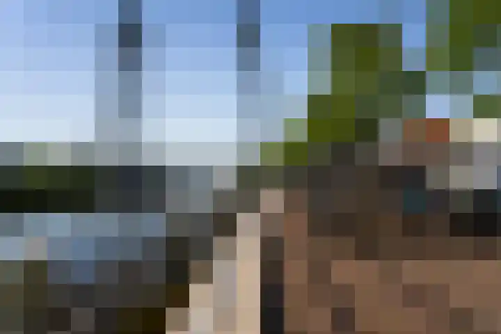 Jan Dorrekenskade-Oost 102 Waddinxveen thumbnail 51