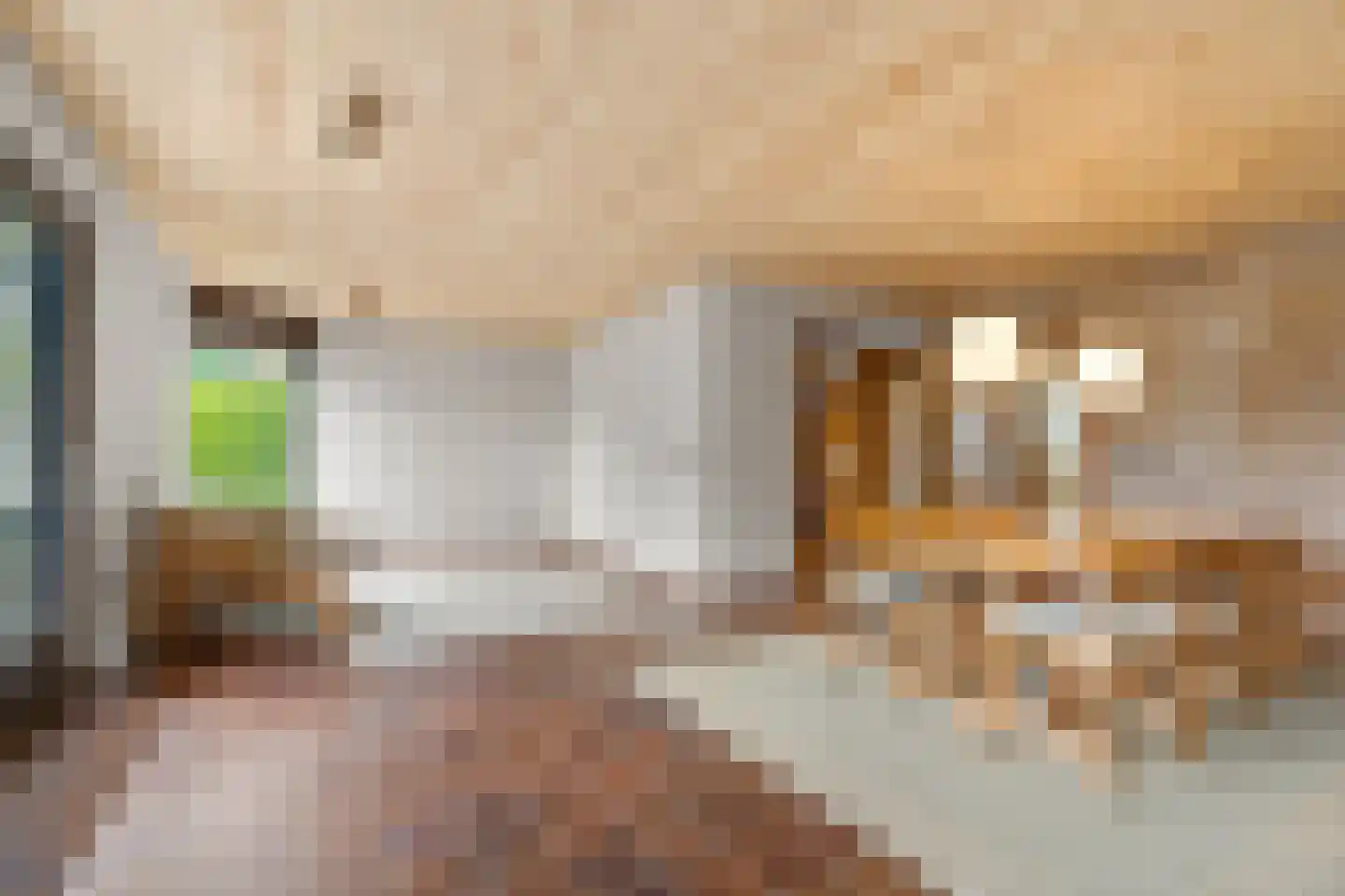 Jan Dorrekenskade-Oost 15 Waddinxveen thumbnail 19