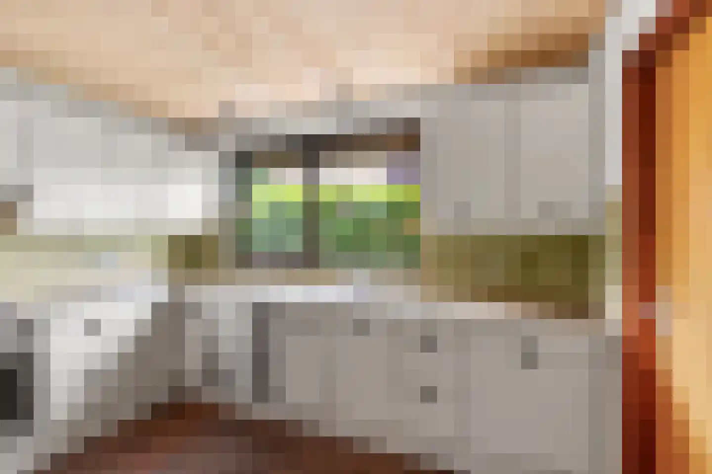 Jan Dorrekenskade-Oost 15 Waddinxveen thumbnail 27