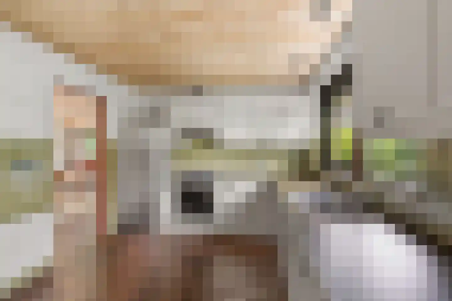 Jan Dorrekenskade-Oost 15 Waddinxveen thumbnail 28