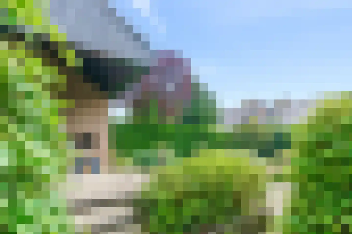 Jan Dorrekenskade-Oost 15 Waddinxveen thumbnail 31