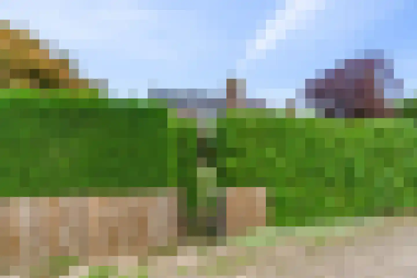 Jan Dorrekenskade-Oost 15 Waddinxveen thumbnail 33