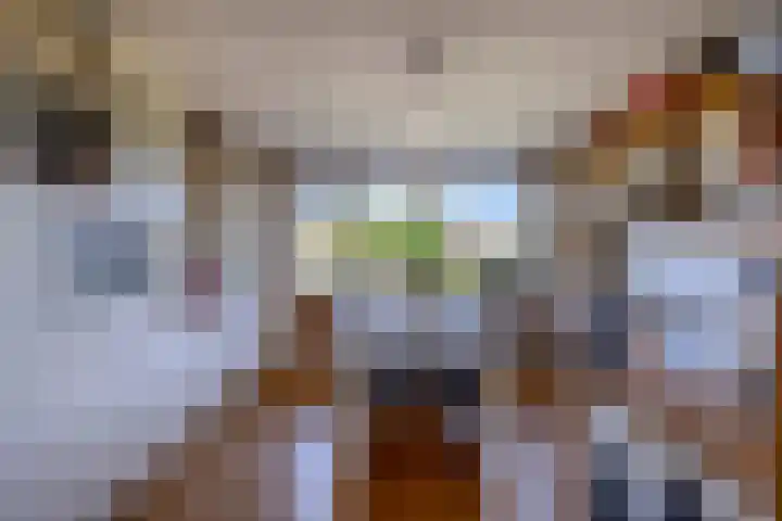 Jan Dorrekenskade-Oost 34 Waddinxveen thumbnail 10