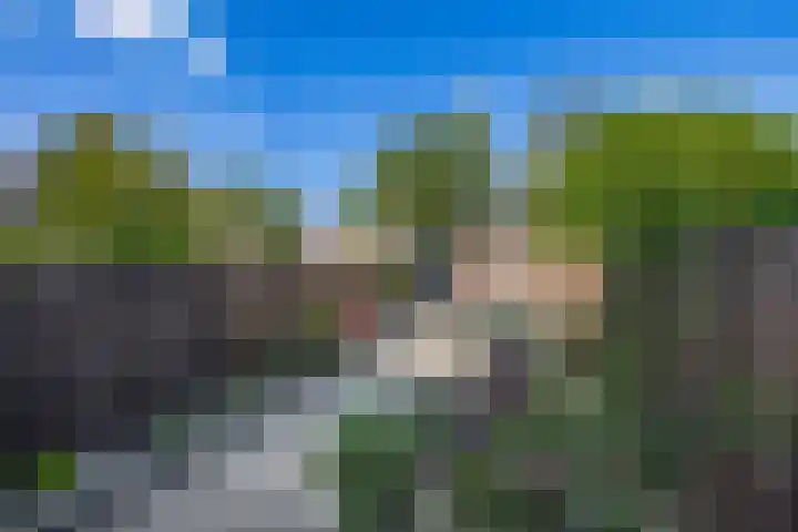 Jan Dorrekenskade-Oost 34 Waddinxveen thumbnail 24