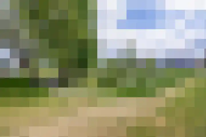 Jan Dorrekenskade-Oost 34 Waddinxveen thumbnail 32