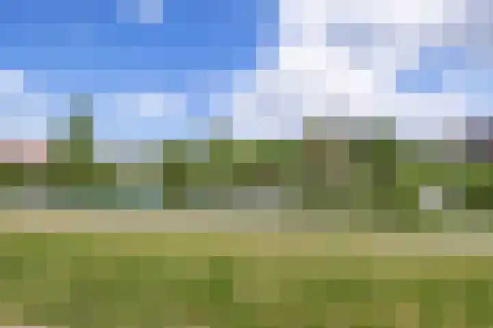 Jan Dorrekenskade-Oost 34 Waddinxveen thumbnail 33
