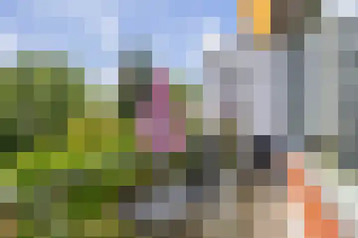 Jan Dorrekenskade-Oost 34 Waddinxveen thumbnail 7