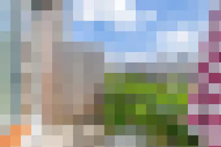 Jan Dorrekenskade-Oost 34 Waddinxveen thumbnail 8