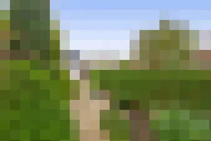 Jan Dorrekenskade-Oost 64 Waddinxveen thumbnail 14