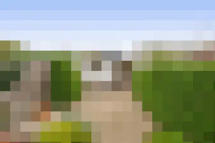 Jan Dorrekenskade-Oost 64 Waddinxveen thumbnail 15