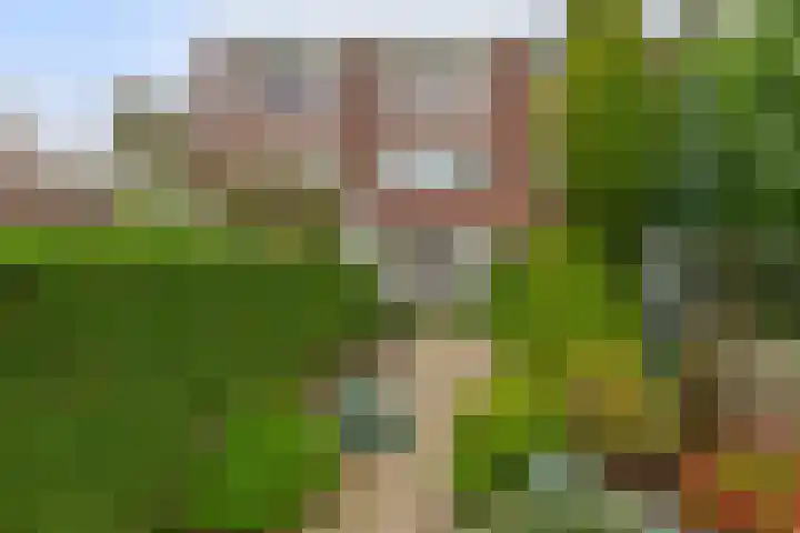 Jan Dorrekenskade-Oost 64 Waddinxveen thumbnail 16