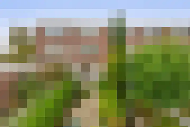 Jan Dorrekenskade-Oost 64 Waddinxveen thumbnail 17
