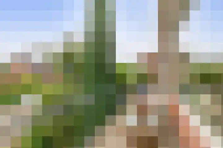 Jan Dorrekenskade-Oost 64 Waddinxveen thumbnail 21