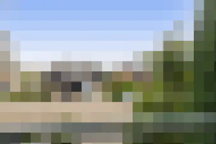 Jan Dorrekenskade-Oost 64 Waddinxveen thumbnail 23