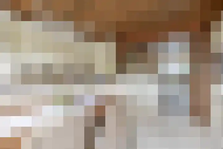 Jan Dorrekenskade-Oost 64 Waddinxveen thumbnail 25
