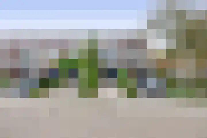 Jan Dorrekenskade-Oost 64 Waddinxveen thumbnail 36