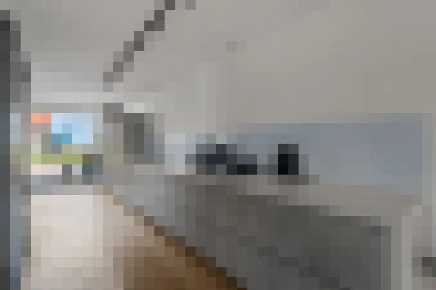 Jan Dorrekenskade-Oost 73 Waddinxveen thumbnail 26
