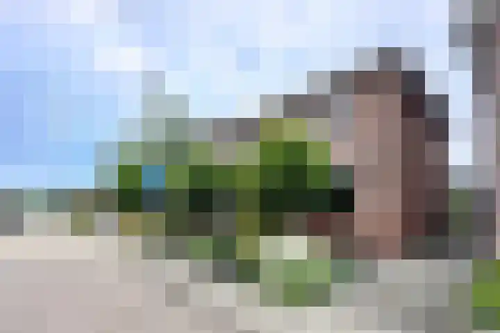 Jan Dorrekenskade-Oost 80 Waddinxveen thumbnail 39