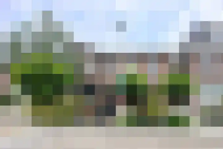 Jan Dorrekenskade-Oost 80 Waddinxveen thumbnail 4