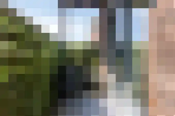 Jan Doustraat 14 Zwaag thumbnail 13