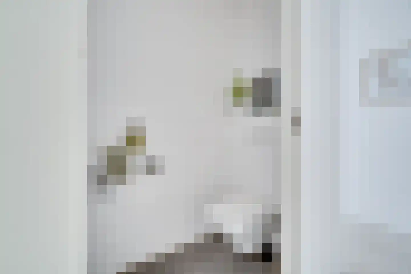 Jan Duikerhof 110 Diemen thumbnail 19