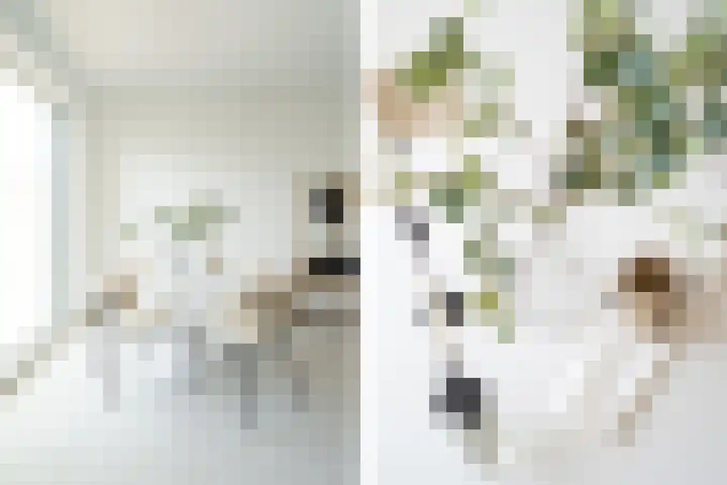 Jan Duikerhof 110 Diemen thumbnail 9